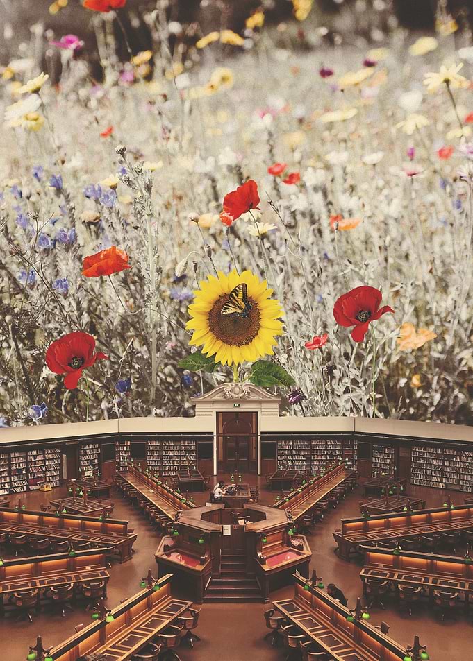 Wild Library