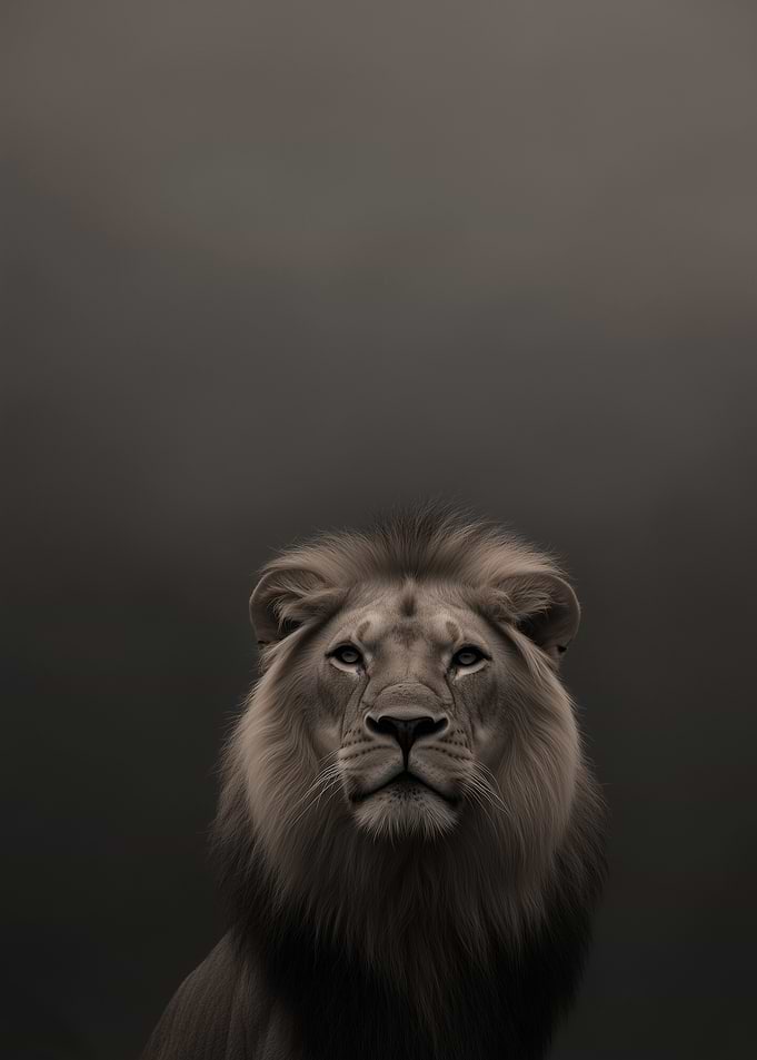Lion Portrait