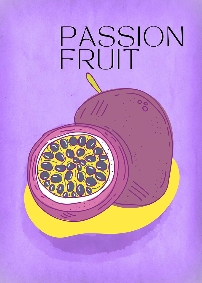 Vintage Passion Fruit Illustration