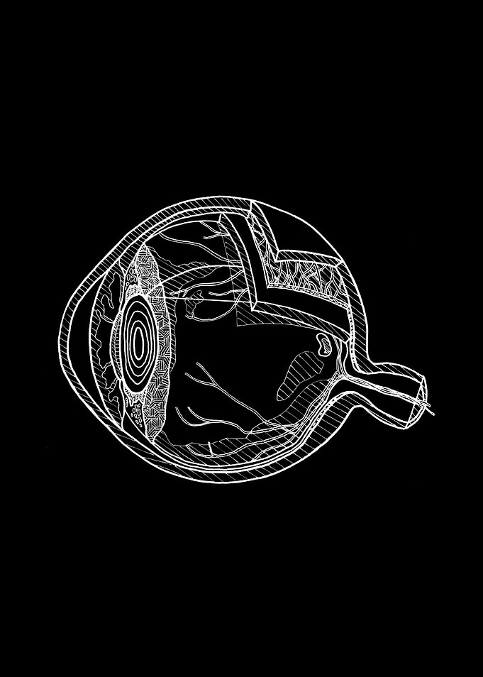 Human Eye Anatomy Diagram