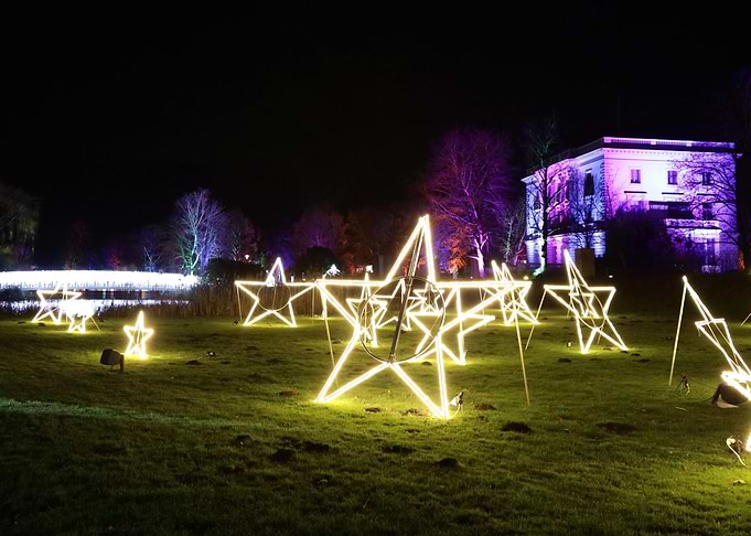 Illuminated Stars in Garden
