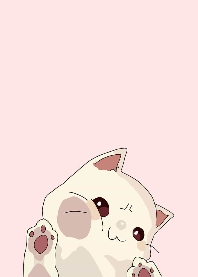 Cute Cartoon Cat