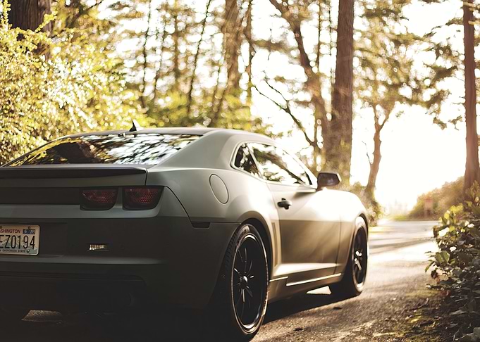 Matte Grey Camaro in Forest
