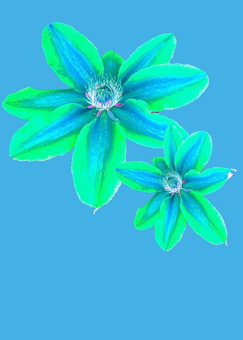 Neon Green Flowers