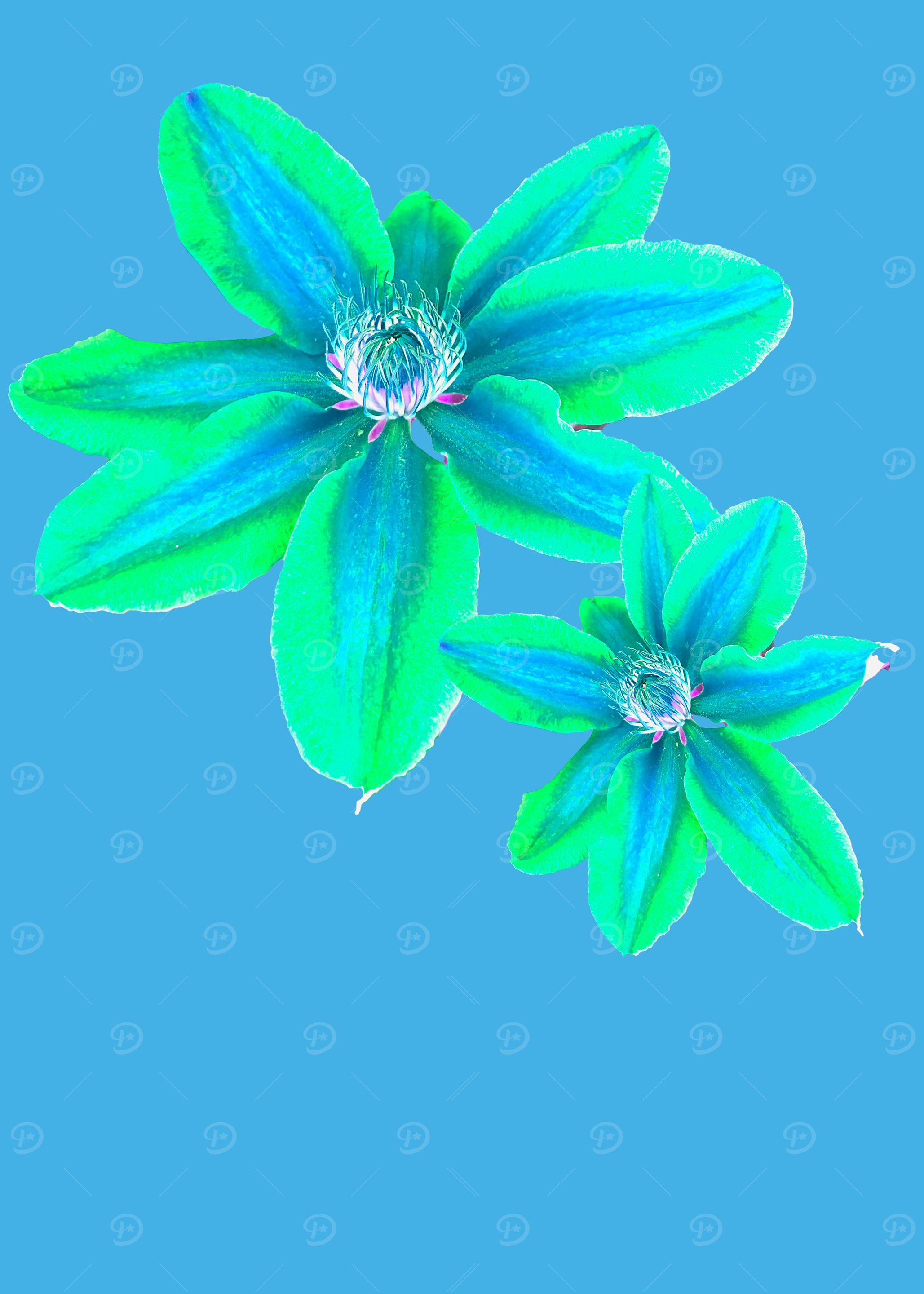 Neon Green Flowers