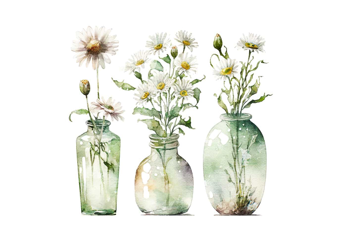 Watercolor Daisies in Vases