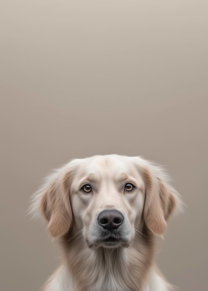 Golden Retriever Portrait