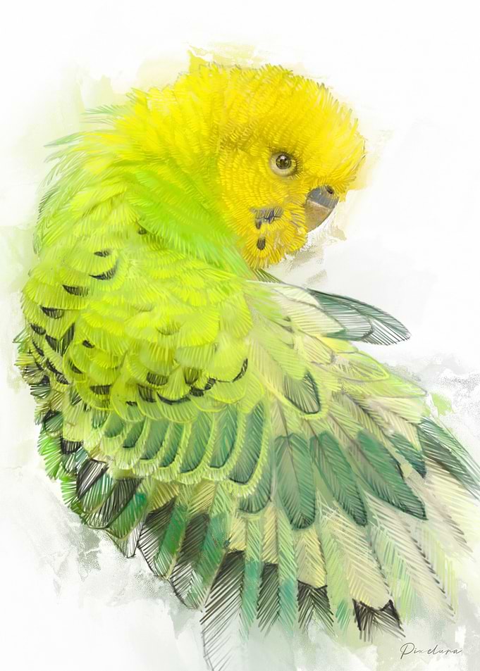 Green Budgie Watercolor