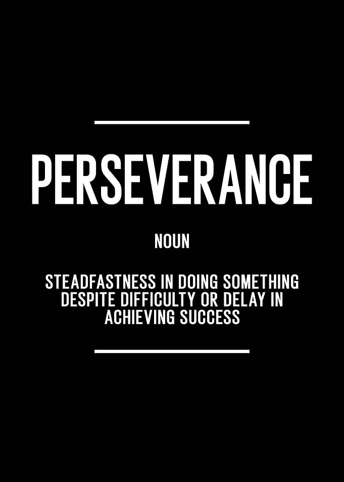 Perseverance Definition | Motivational Wall Art for Office Success