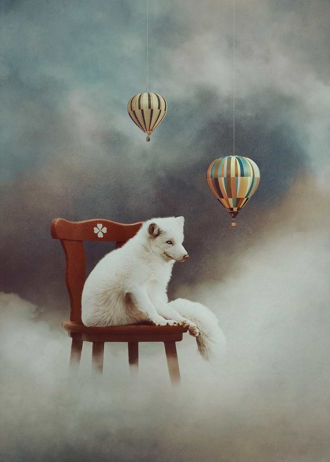 Arctic Fox on a Cloud