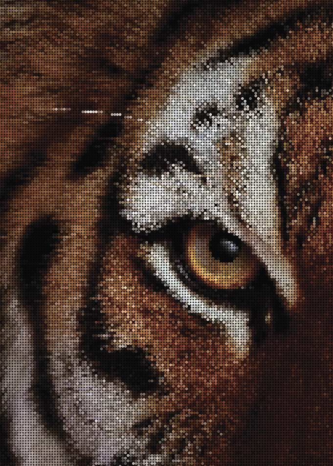 Tiger Eye
