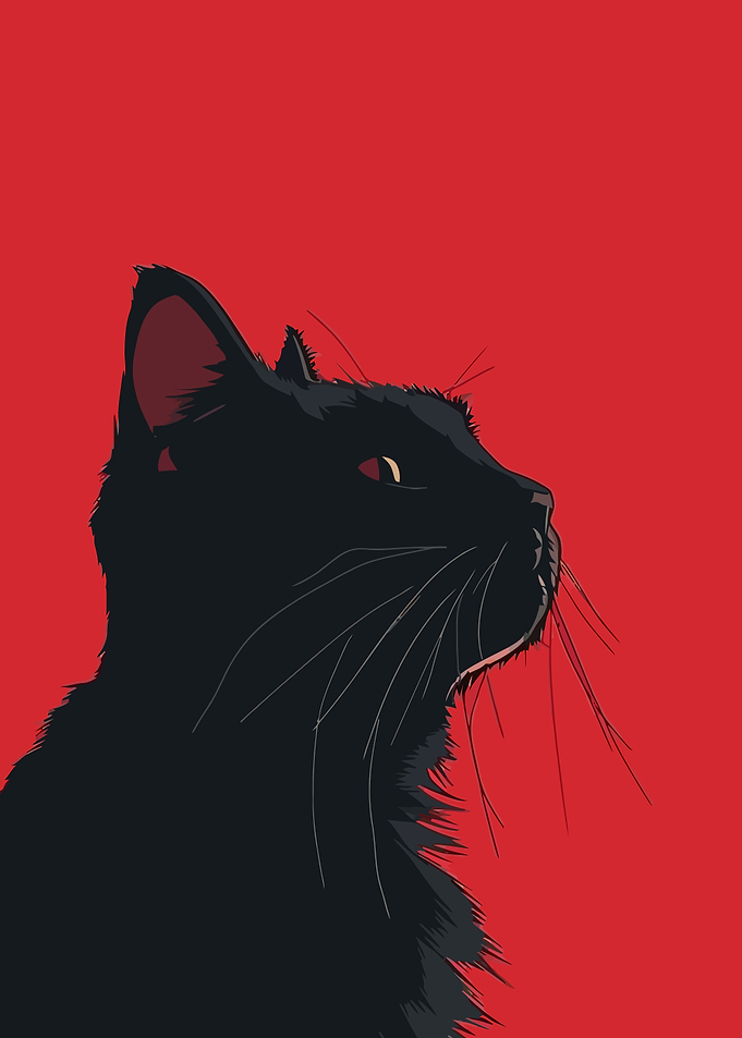 Black Cat on Red
