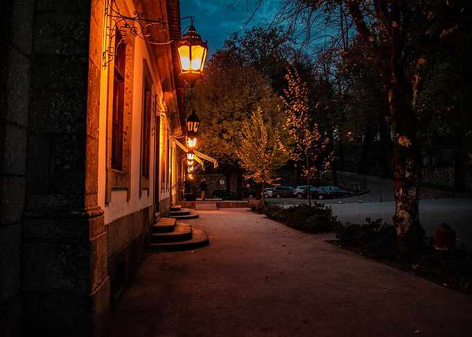 Street Lamp Lit Pathway