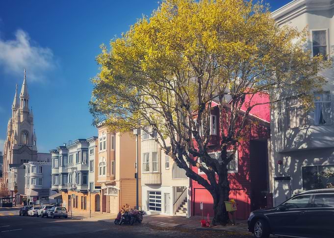Urban Street Scene with Tree