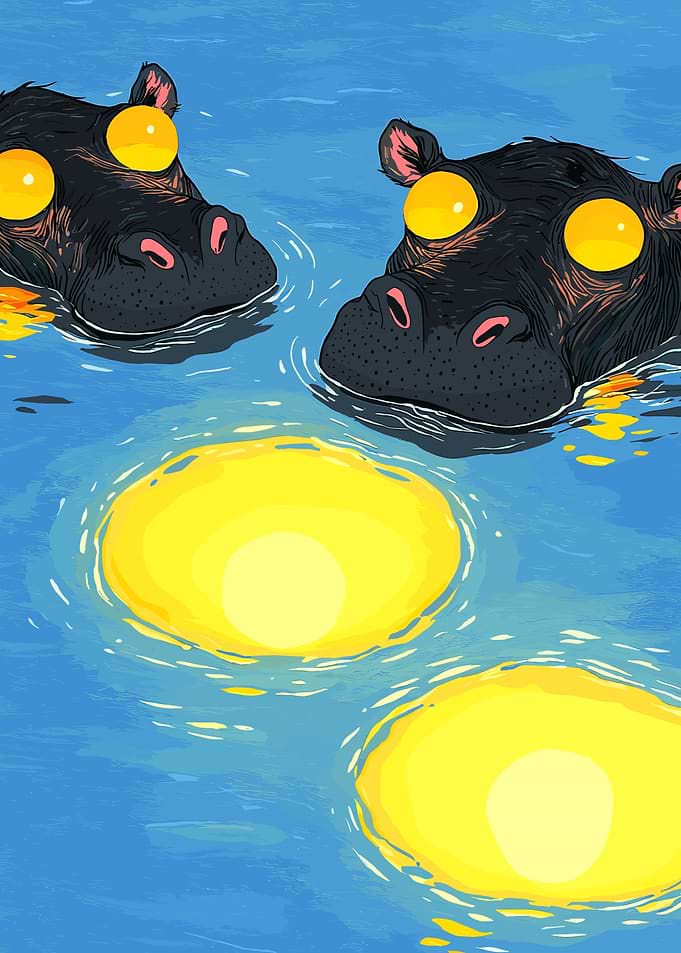 Hippos in the Water