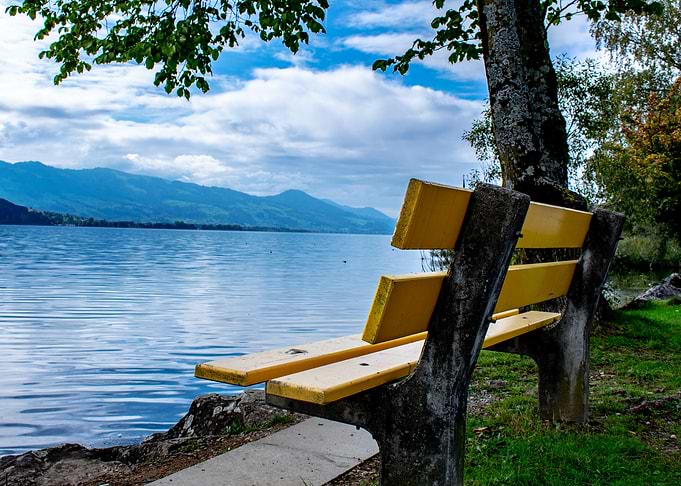 Yellow Bench by the Lake