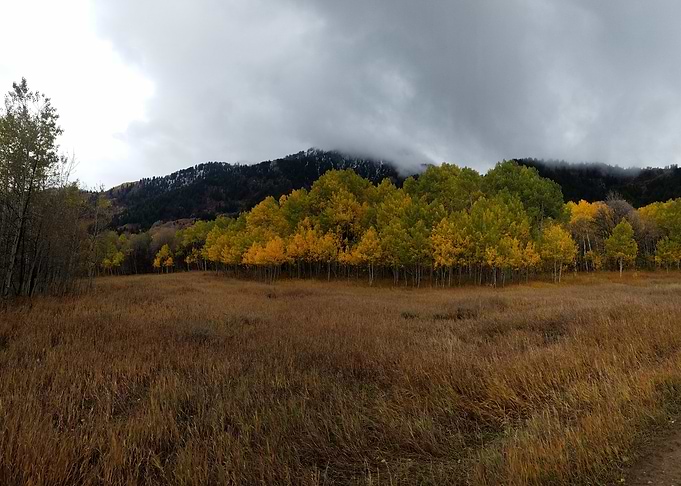 Autumn Meadow Landscape
