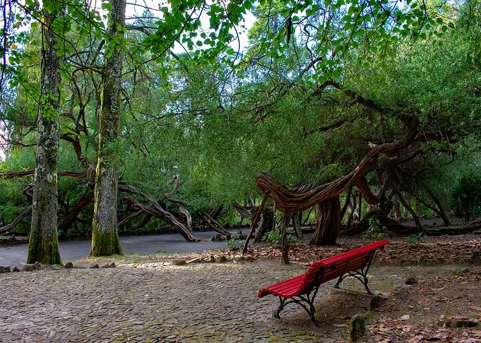 Red Bench in a Lush Forest