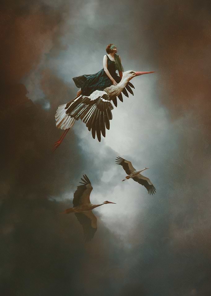 'Flight of Faith' Woman Blindfolded Flying on White Stork