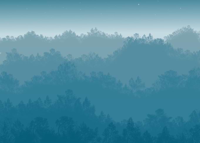 Misty Forest Silhouette