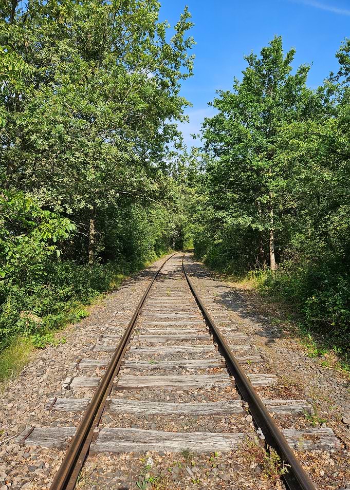 Les rails perdus