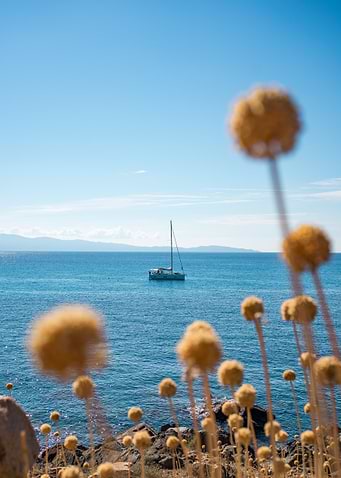 Sailboat on Calm Sea