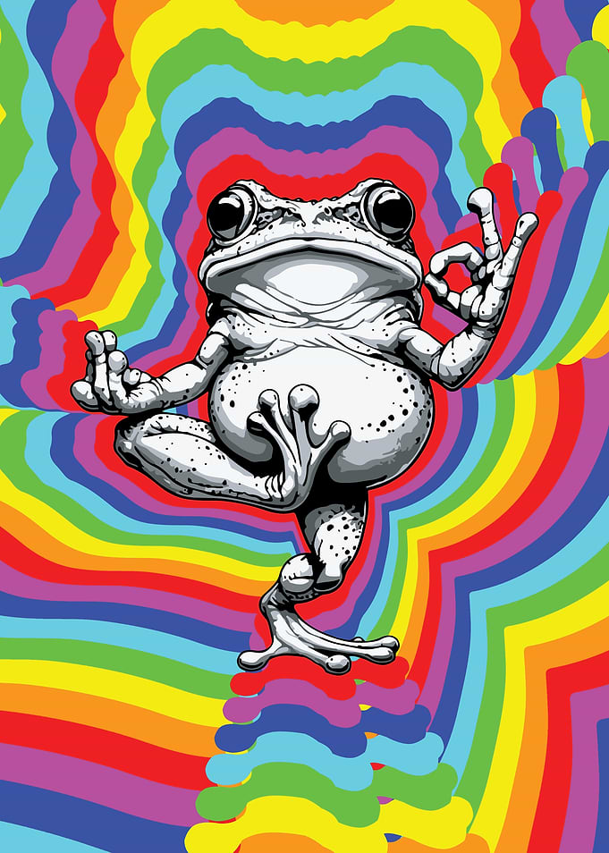 Zen Frog Rainbow