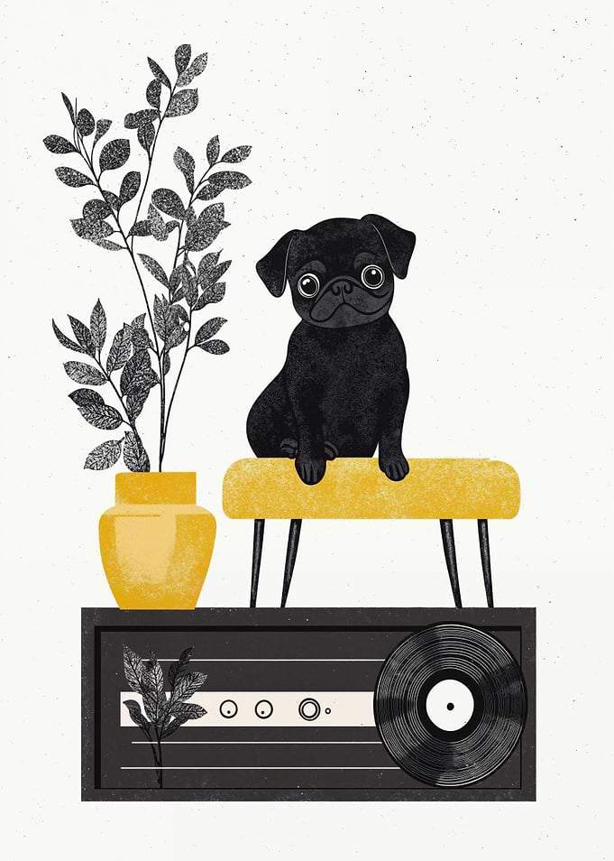 Pug on a Record Music Player Mid Century