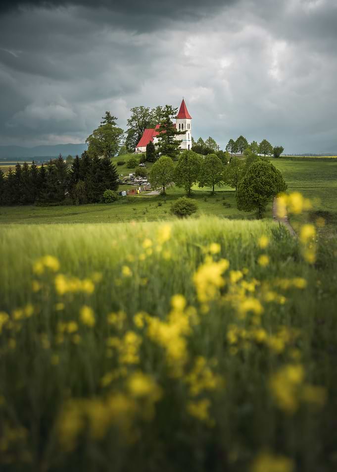 Over Fields of Gold