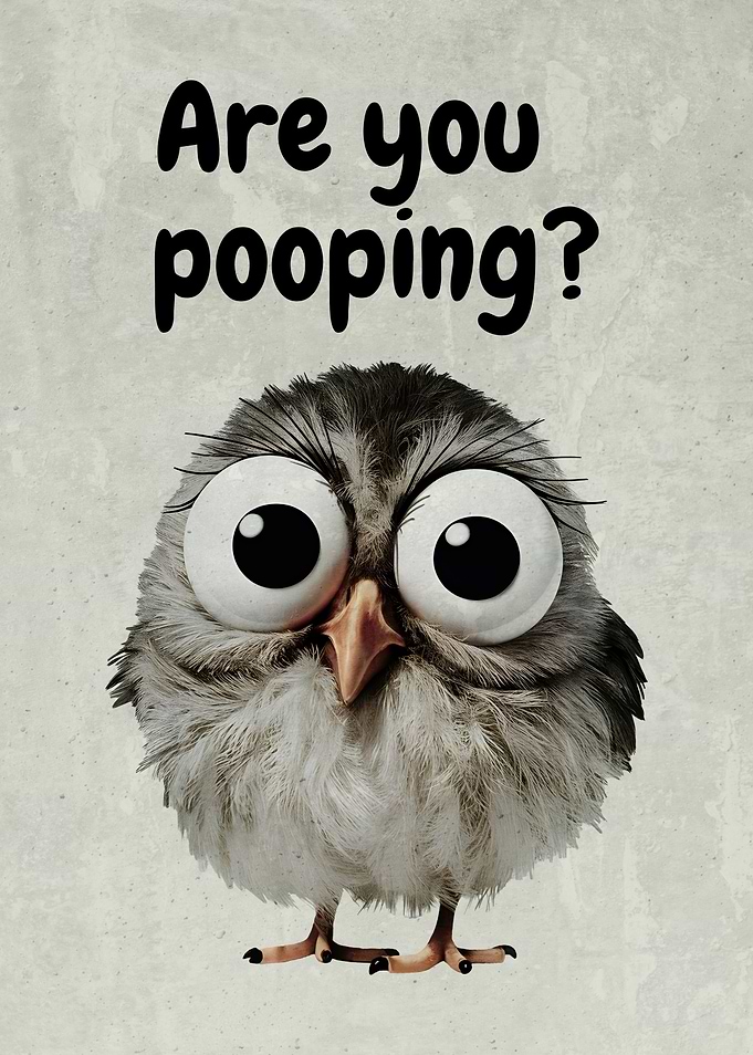 Funny Owl Bathroom Meme