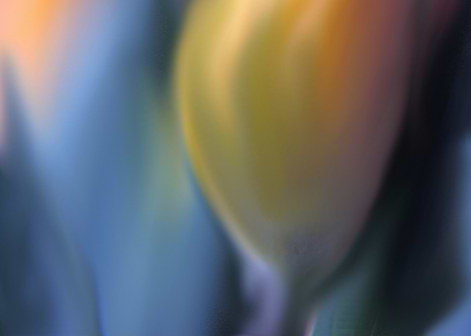 Abstract Blurred Background and Flower Tulip watercolor
