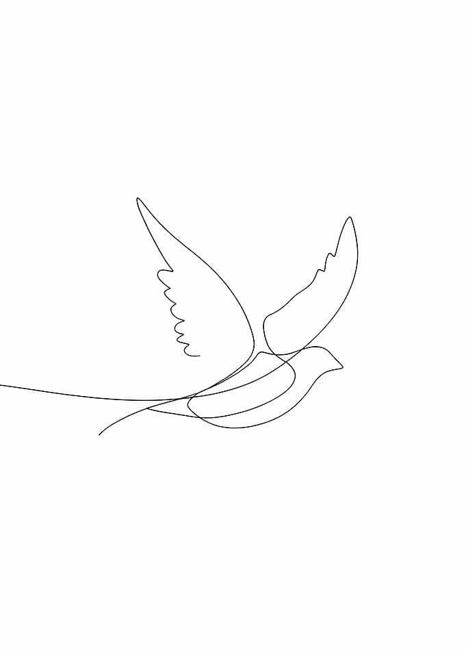 Bird Line Art