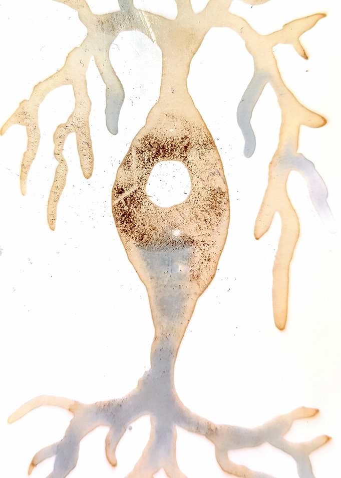 Bipolar neuron painted with coffee and wine