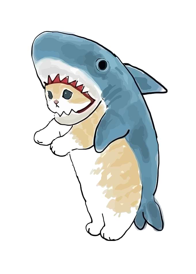 Cat in Shark Costume