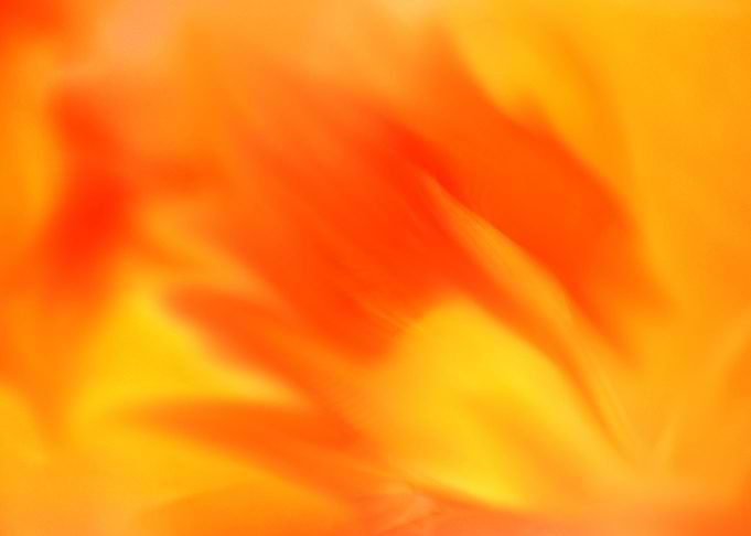 Abstract Orange and Yellow Background blurred watercolor