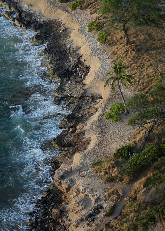 Coastal Serenity: Aerial View of a Tropical Beach with Palm Trees and Rocky Shoreline
