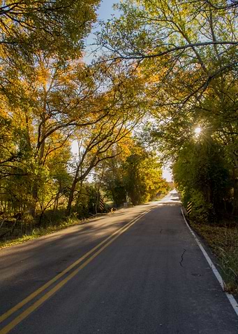 Autumn Road