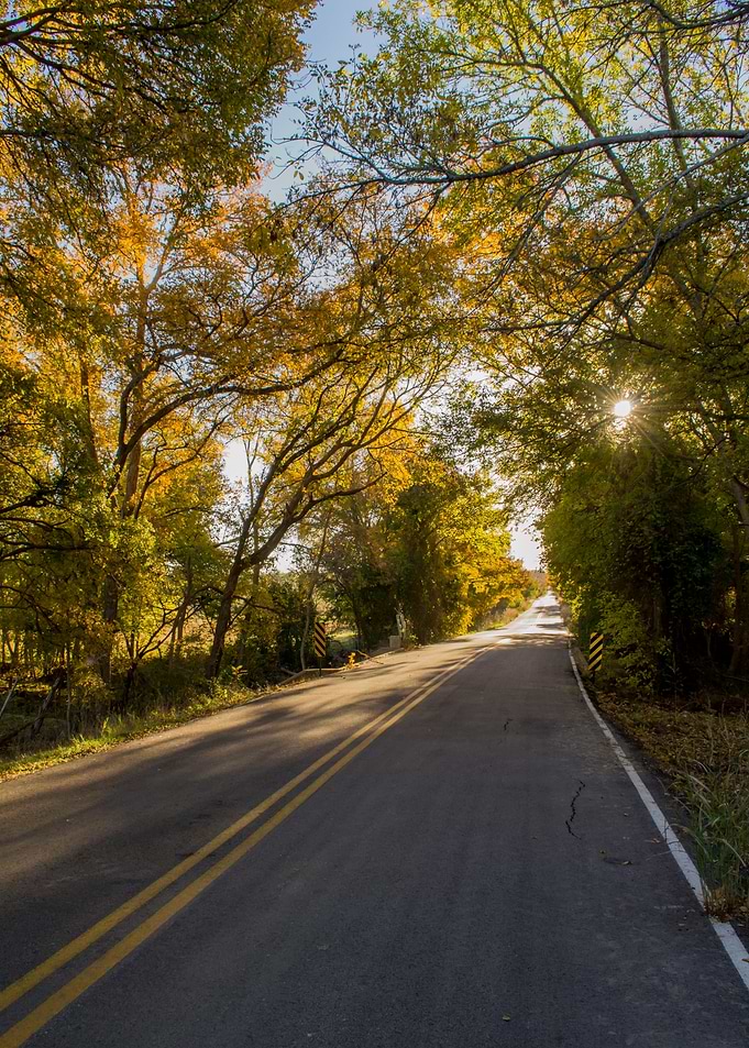 Autumn Road
