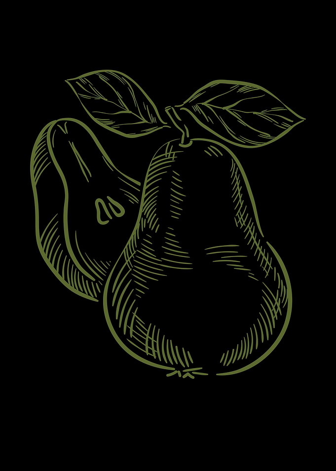 Pear Lovers Delight Sketch
