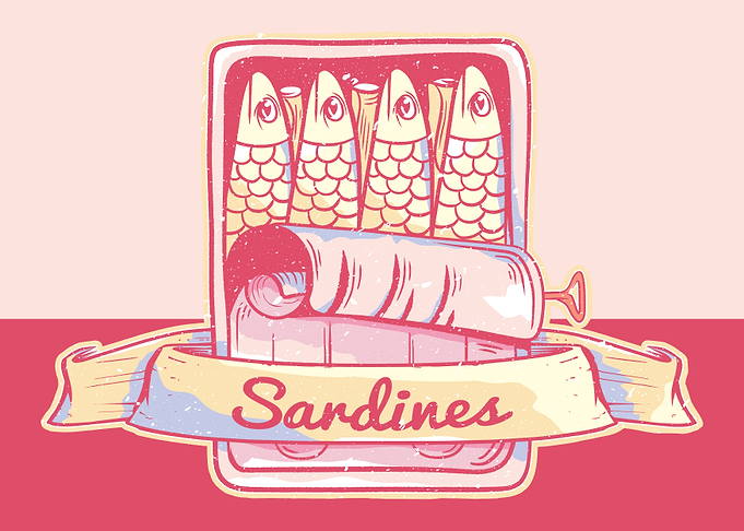 Sardines Can Illustration