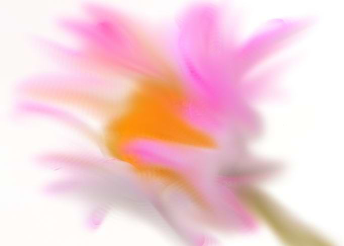 Abstract Flower Bloom blurred watercolor