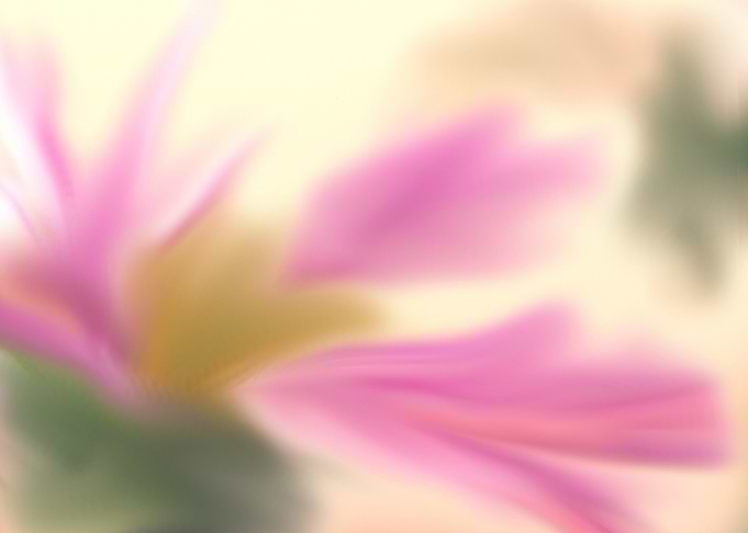 Abstract Floral Blur blurred watercolor