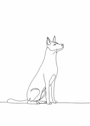 Dog Line Art