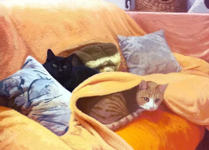 Two Cats on a Couch
