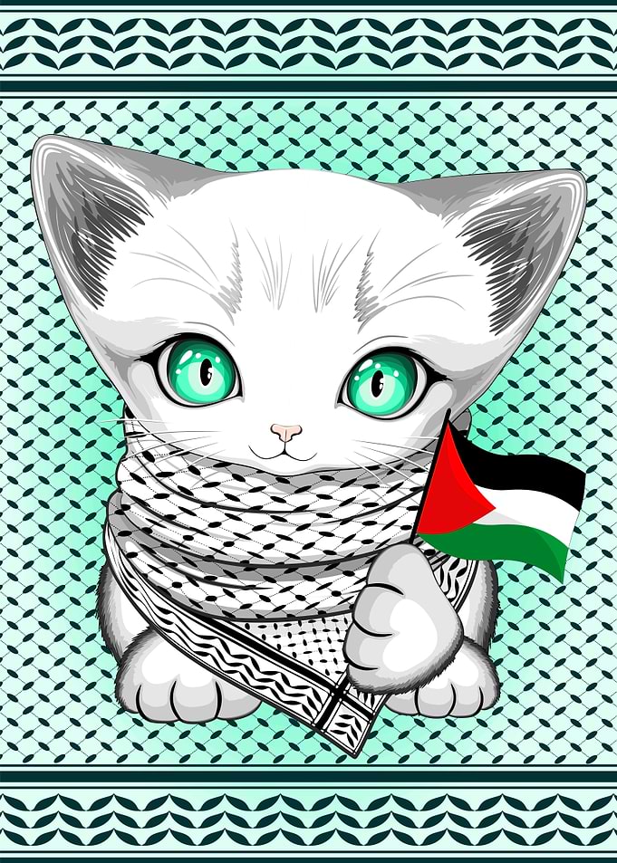 Cat with Palestinian Flag