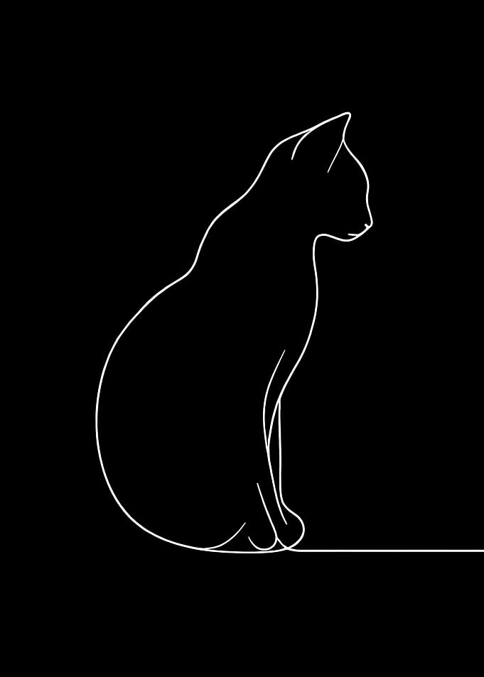 Cat Line Art