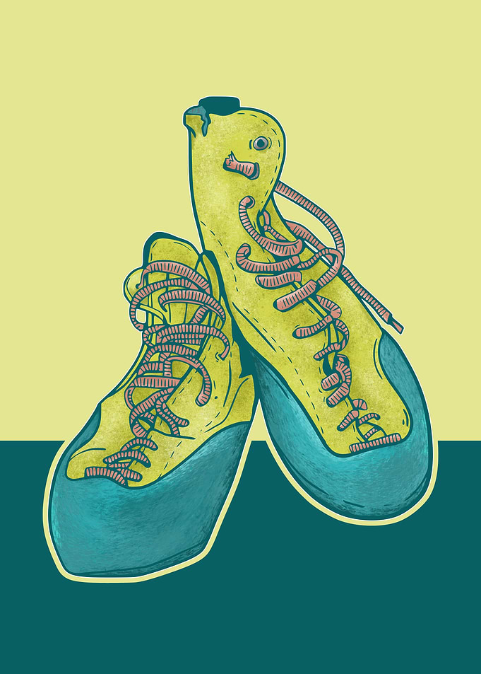 Climbing Shoes Illustration