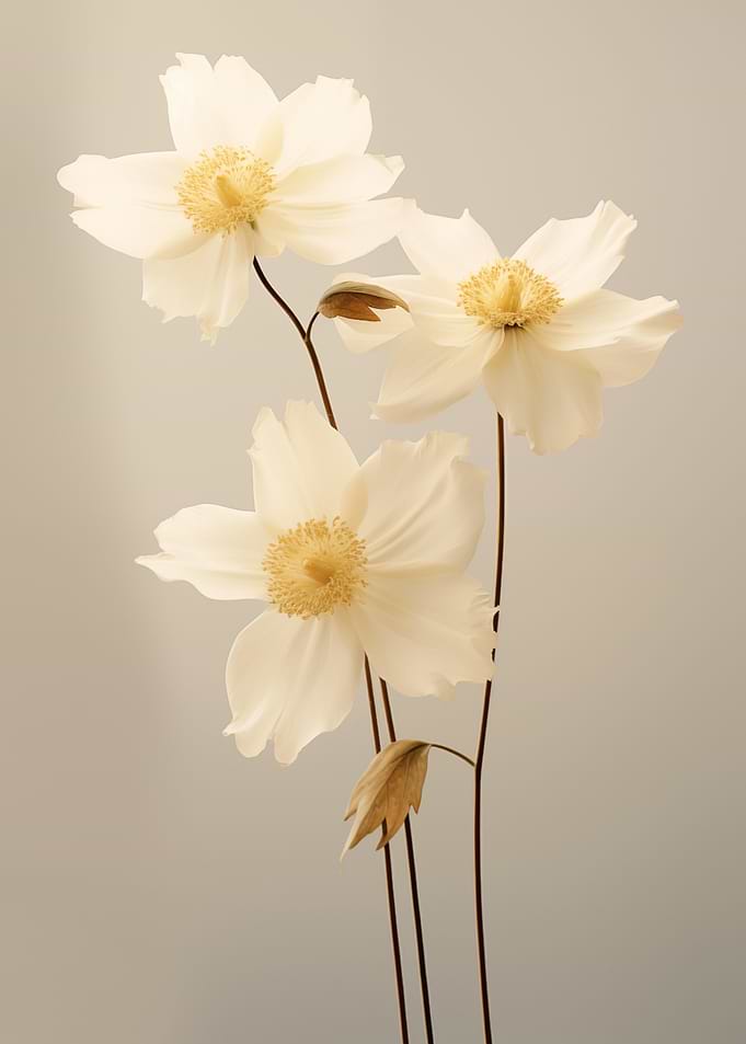 White Flowers on Stems