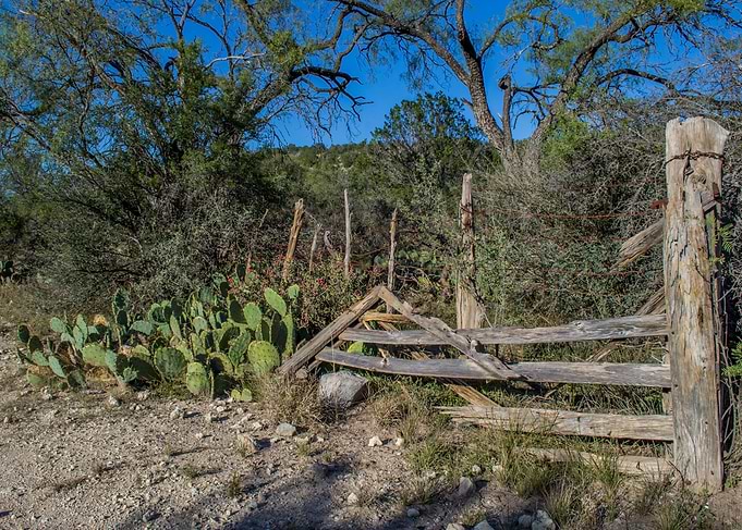 Rustic Wooden Gate with Cactus