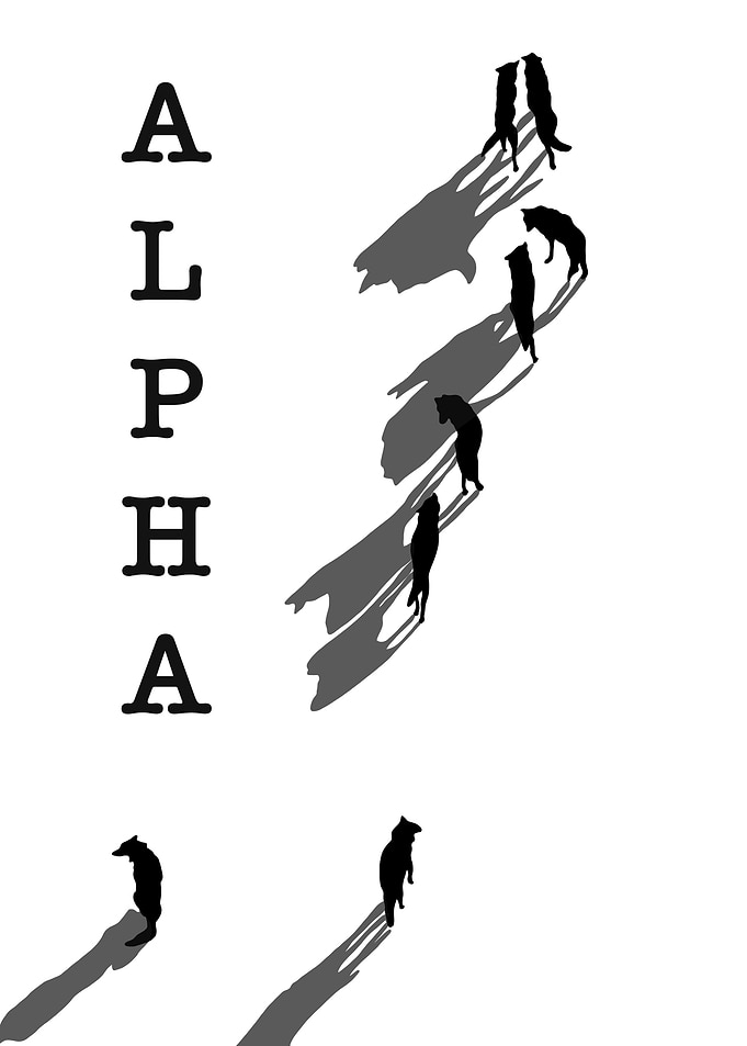 Alpha Wolf Pack Silhouette